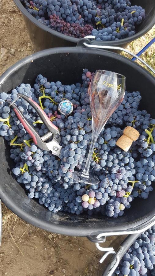 Enjoy En Champagne Maison Calme Au Milieu Du Vignoble Avec Parking Gratuit Dormans Exterior photo