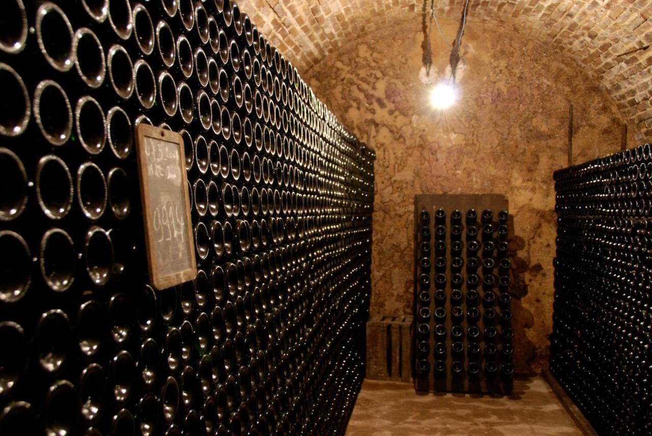 Enjoy En Champagne Maison Calme Au Milieu Du Vignoble Avec Parking Gratuit Dormans Exterior photo