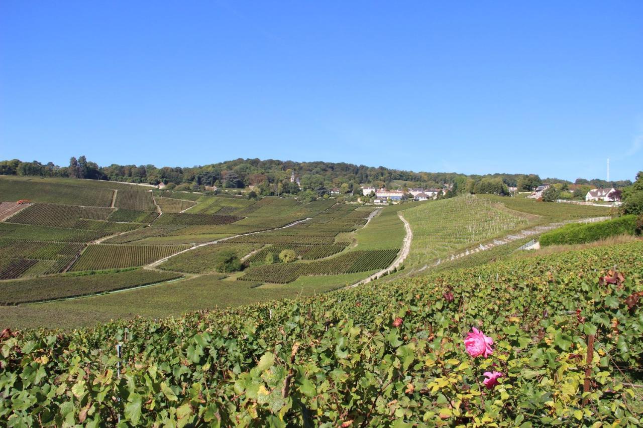 Enjoy En Champagne Maison Calme Au Milieu Du Vignoble Avec Parking Gratuit Dormans Exterior photo
