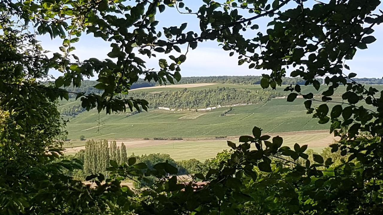 Enjoy En Champagne Maison Calme Au Milieu Du Vignoble Avec Parking Gratuit Dormans Exterior photo
